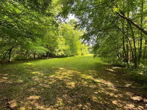 1115 Nydeck Trl, Robbins, TN 37852 photo 46