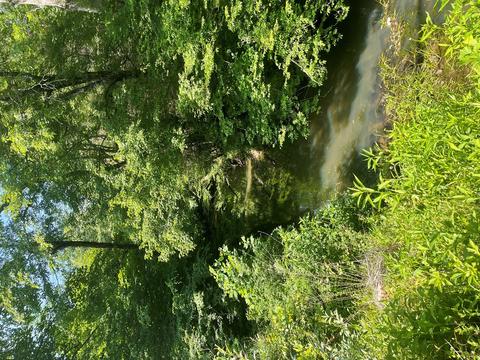 1115 Nydeck Trl, Robbins, TN 37852 photo 56