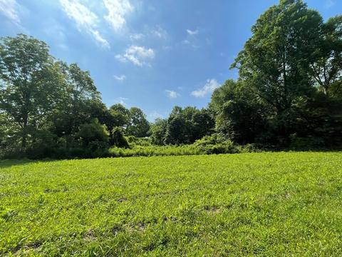 1115 Nydeck Trl, Robbins, TN 37852 photo 54