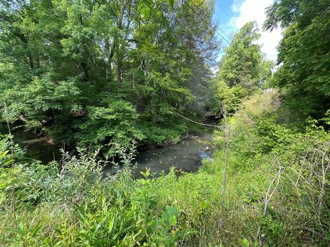 1115 Nydeck Trl, Robbins, TN 37852 photo 55