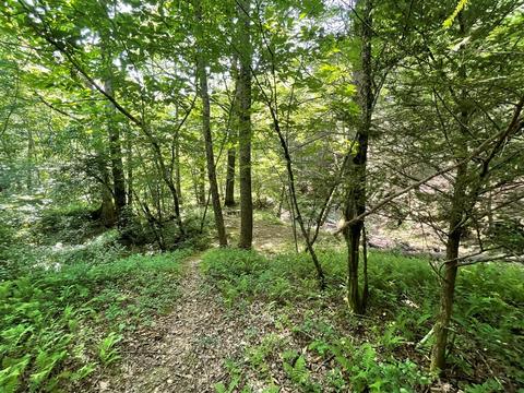 1115 Nydeck Trl, Robbins, TN 37852 photo 45