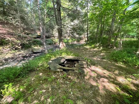 1115 Nydeck Trl, Robbins, TN 37852 photo 41
