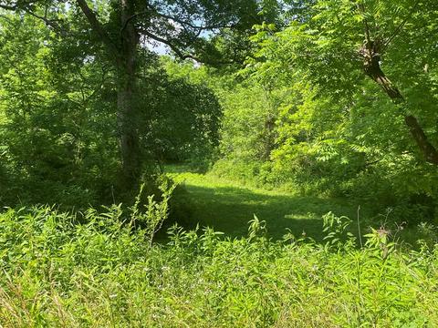 1115 Nydeck Trl, Robbins, TN 37852 photo 65