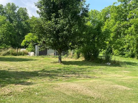 1115 Nydeck Trl, Robbins, TN 37852 photo 67
