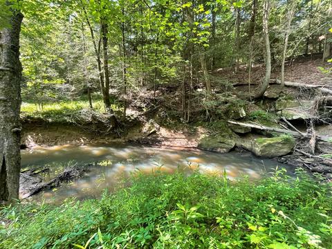 1115 Nydeck Trl, Robbins, TN 37852 photo 38