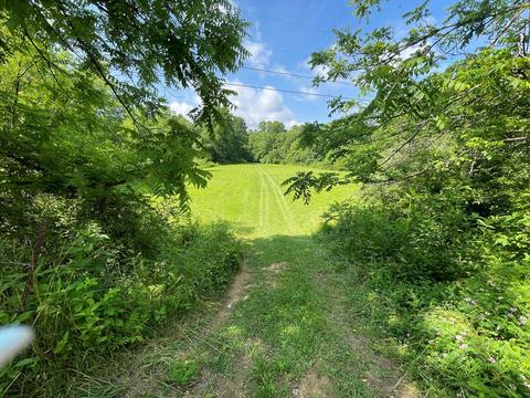 1115 Nydeck Trl, Robbins, TN 37852 photo 62
