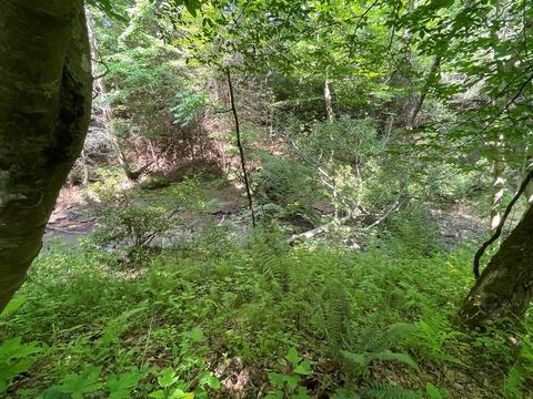1115 Nydeck Trl, Robbins, TN 37852 photo 48