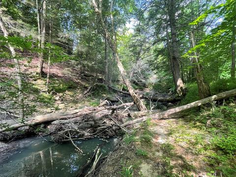 1115 Nydeck Trl, Robbins, TN 37852 photo 39
