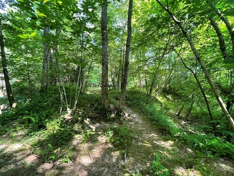 1115 Nydeck Trl, Robbins, TN 37852 photo 42
