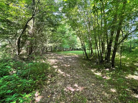 1115 Nydeck Trl, Robbins, TN 37852 photo 44