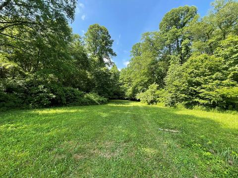 1115 Nydeck Trl, Robbins, TN 37852 photo 52