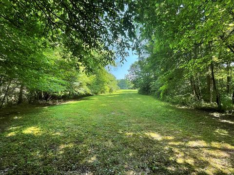 1115 Nydeck Trl, Robbins, TN 37852 photo 47