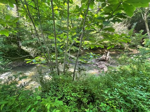 1115 Nydeck Trl, Robbins, TN 37852 photo 36