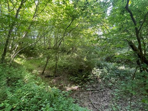 1115 Nydeck Trl, Robbins, TN 37852 photo 43