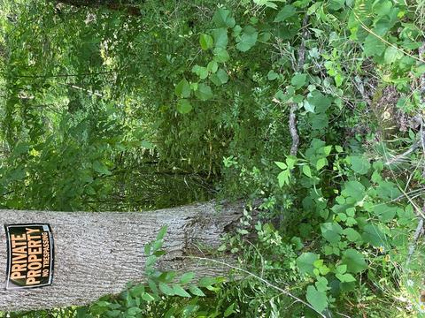 1115 Nydeck Trl, Robbins, TN 37852 photo 63