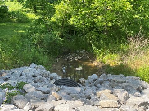 1115 Nydeck Trl, Robbins, TN 37852 photo 64