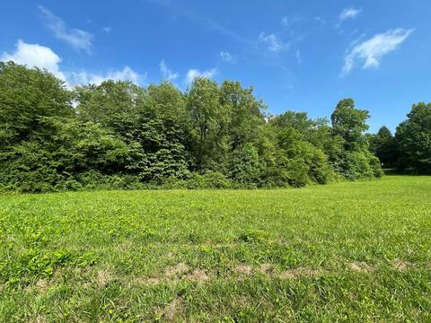1115 Nydeck Trl, Robbins, TN 37852 photo 53