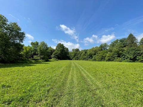 1115 Nydeck Trl, Robbins, TN 37852 photo 60