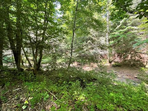 1115 Nydeck Trl, Robbins, TN 37852 photo 49