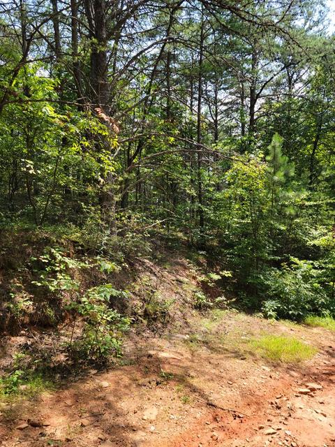 lot21 Belaire Dr, Copperhill, TN 37317