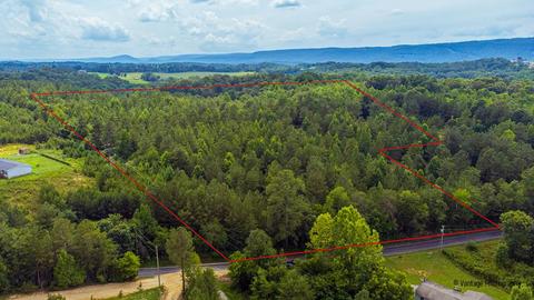 14 25ac Pete Worthington Rd, Dayton, TN 37321