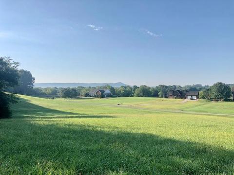 21 Pinhook Rd, Calhoun, TN 37309