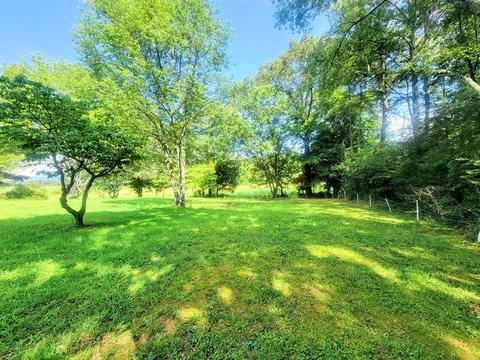 278 Beech Springs Rd, Ocoee, TN 37361 photo 2