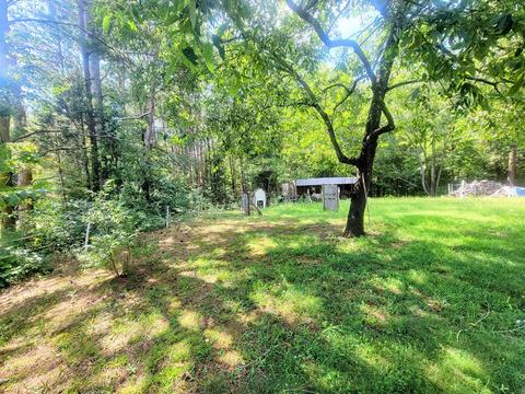 278 Beech Springs Rd, Ocoee, TN 37361 photo 4
