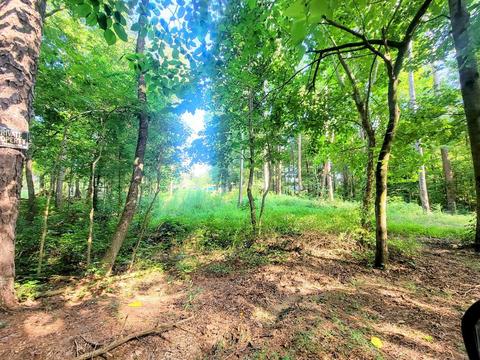 278 Beech Springs Rd, Ocoee, TN 37361 photo 24