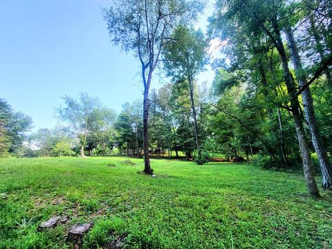 278 Beech Springs Rd, Ocoee, TN 37361 photo 23