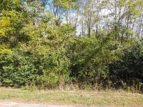 00 Ambernic Way, Sweetwater, TN 37874