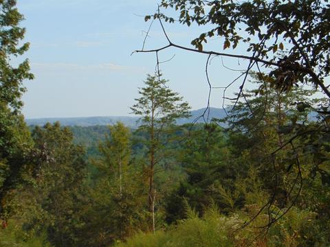 Tr 15d-5 Cameron Road, Decatur, TN 37322