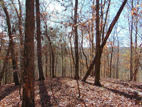 43 Athens Road, Calhoun, TN 37309