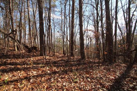 lot45 Clearview Dr, Dayton, TN 37321