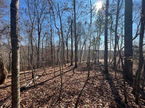 42 Athens Road, Calhoun, TN 37309