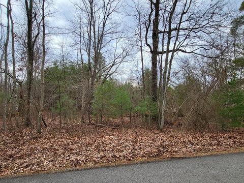 27 28 Acres Bennie Camp Rd, Dunlap, TN 37327