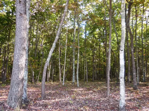 lot29 Grapevine Rd, Crossville, TN 37367