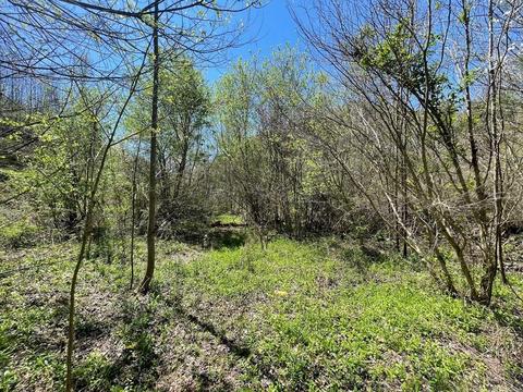 2 Cane Creek Mtn, Tellico Plains, TN 37385