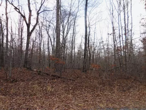 3008 Diego Dr, Crossville, TN 38572