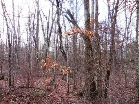 1143 Natchez Trce, Crossville, TN 38572