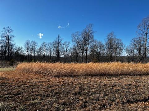 lot40 Melea Ln, Kingston, TN 37763