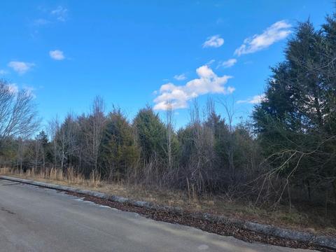 208 Jill Kristin Ln, Spring City, TN 37381