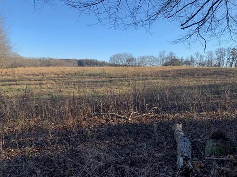 16 95 Ac Belle Harrison Ln, Evensville, TN 37332
