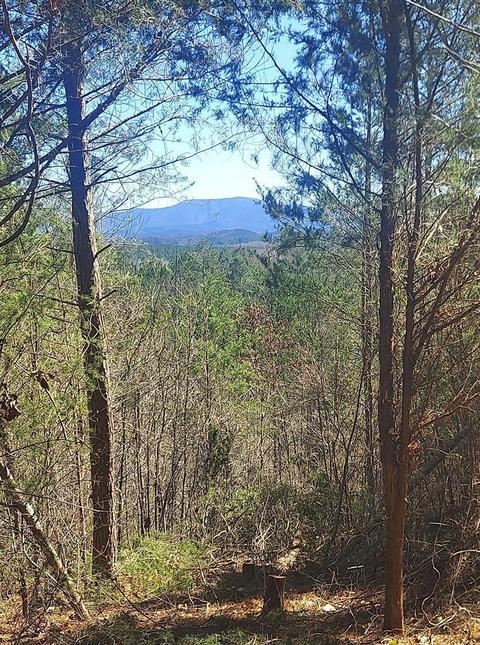 206 Bob White Rd, Ocoee, TN 37361 photo 1
