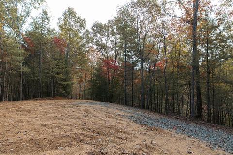1039 Towee Pike, Reliance, TN 37369