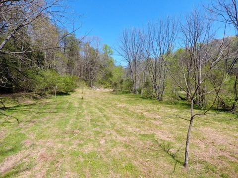 72 Reagan Vly # A, Tellico Plains, TN 37385