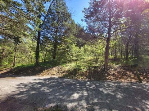 40 Acres Graham Rd, Dunlap, TN 37327
