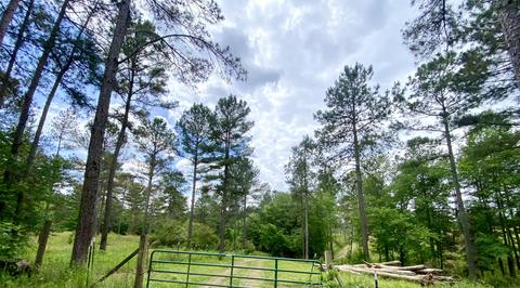 1405 NE Chestuee Rd NE, Cleveland, TN 37312
