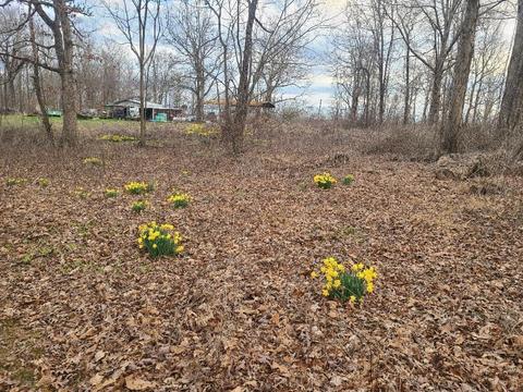 lot8 Double D Rd, Pikeville, TN 37367