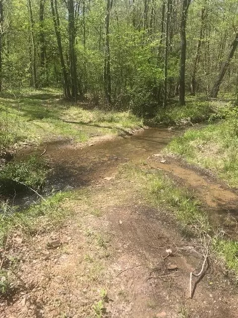 00 Denton Hollow Road Rd NW, Cleveland, TN 37312